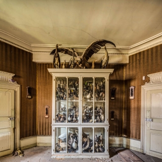 Panorama_sans_titre1-Modifier-Modifier-Modifier-Modifier.jpg